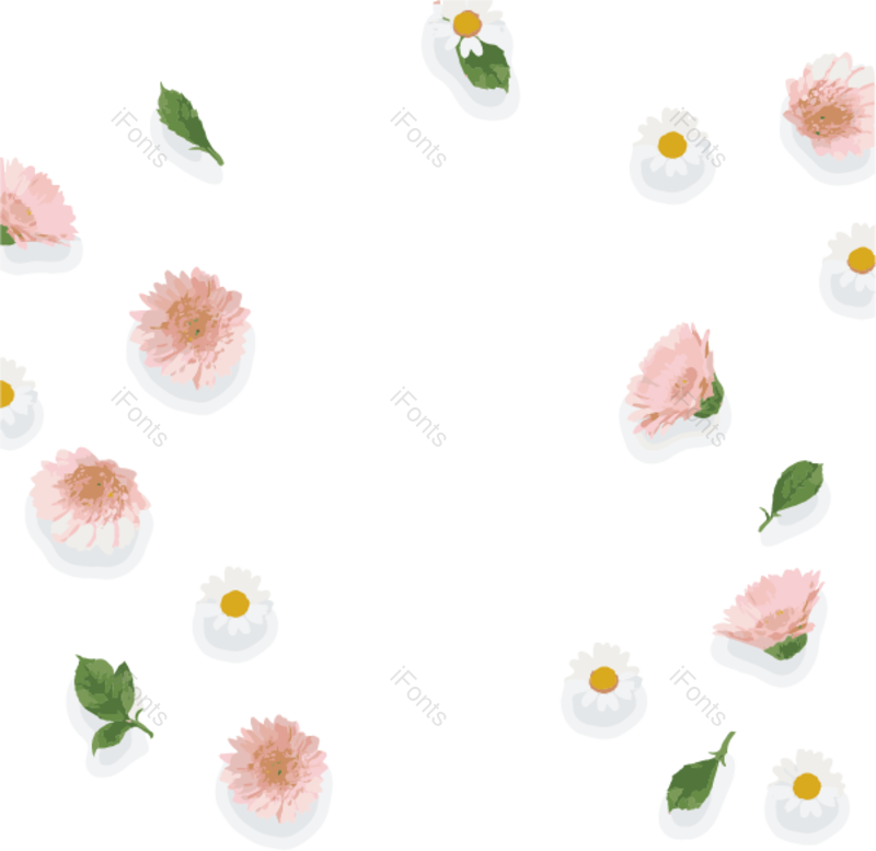 菊花图片,春季元素,春天PNG,植物免抠素材
