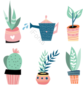乔治·莫兰迪 植物 发芽植物盆栽 图贴 手绘竽 动画片 ly 手账