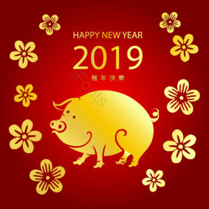 金色小猪 花朵 猪年 2019 新年快乐 春节 新年
