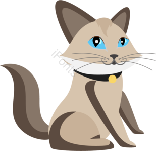 矢量猫咪 可爱猫咪 猫咪 卡通动物 卡通猫咪 卡通宠物 暹罗猫