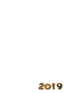 简单  动画片  豪华  金  新年  2019  酿酒  文字艺术