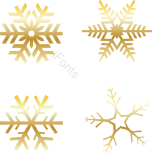 美丽的 香槟酒 雪花 冬天 寒冷的 季节 冻结的 极简主义的