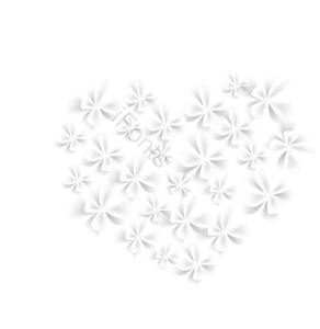 剪纸 婚礼 清新 浪漫 奶油 花环 边框 曲线