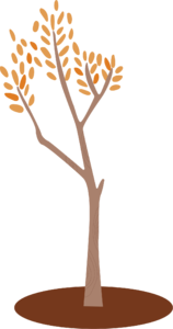 可爱 小叶树 树 植物 插画家 黄色 黄树 简洁的树