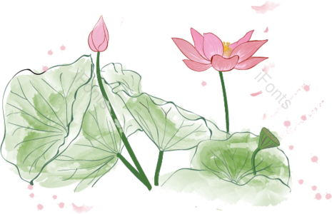 绿色 手绘 清新 莲花 叶子 植物 水墨 立夏