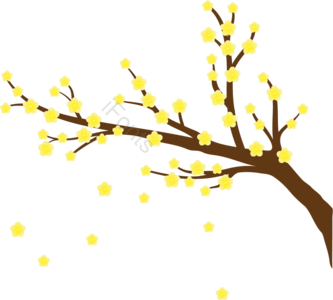梅花 粉色 黄色 红色 新年 树枝 花朵 花瓣