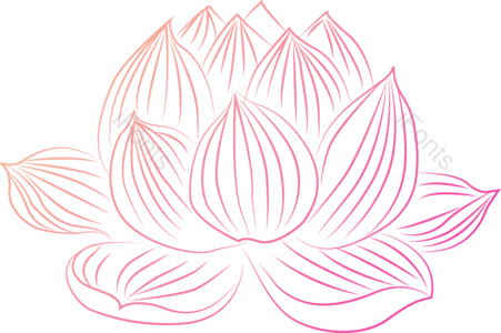 莲花 花 花矢量 莲花矢量 粉红色矢量