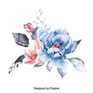 花 鲜花 花朵 花卉 植物 春天 清新 立春