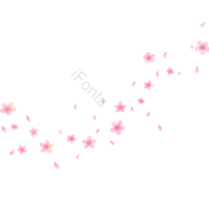 彩色绚丽 美美哒 花呗 花的 粉色的花朵 鲜花绽放 花礼 粉色绽放