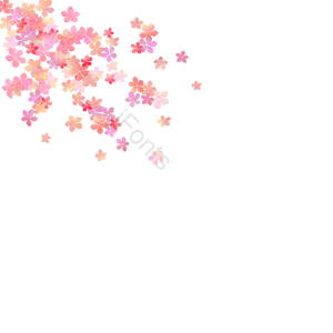 华美 美丽 花 花的 粉 背景 粉红色的花朵 鲜花盛开