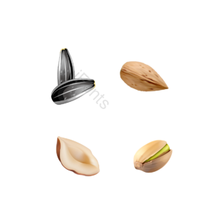 PSD PNG 向量 坚果 餐饮 西瓜种子 杏仁 开心果