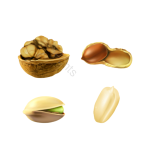 PSD PNG 向量 坚果 餐饮 小吃 核桃 花生