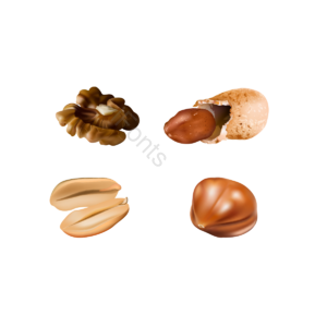 PSD PNG 向量 坚果 餐饮 小吃 核桃 花生