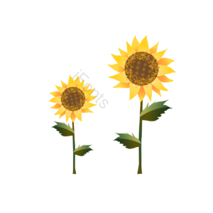 简单的 动画片 手绘感 萌萌 葵花 花的 自然 植物