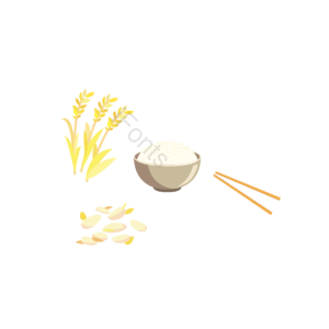 简单  手绘  扁平  动画片  粮食  餐饮  白饭  小麦