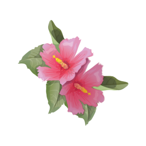红色  花束  彩色的花朵  盆栽  罐  花卉  花瓣  水彩画