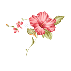 红色  花束  彩色的花朵  盆栽  罐  花卉  花瓣  水彩画