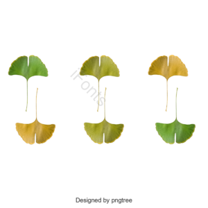 秋季  黄叶  季节  秋天的背景  水彩  装饰  形状  边界