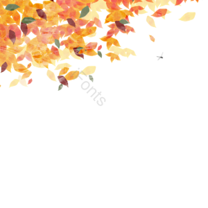 秋季  黄叶  季节  秋天的背景  水彩  装饰  形状  边界