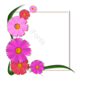 现代  时尚  动画片  手绘  简单  花  槿  花边