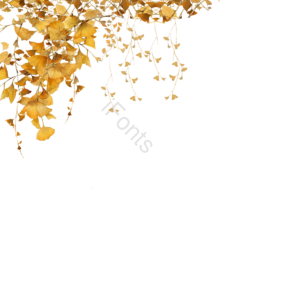 铃声 花边框 彩色绚丽 相框背景 花礼 装饰画 植物类 树叶树叶植物绿色绿植