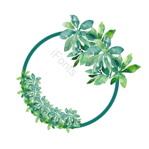 动画片 手绘感 时尚 文摘 s 自然 植物 取色