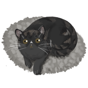 黑色  猫  说谎  仰卧  懒  灰色垫子  蓬松  大眼睛