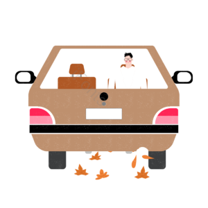 单身生活 汽车 灰色 自由 粉 枫叶 美丽 快乐