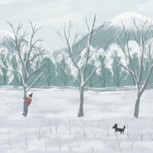 冬季 雪 土地 极简主义 清爽 数据 狗 男孩