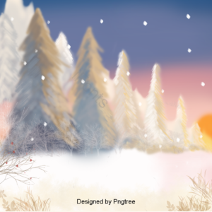 白色 小清新 极简主义 闲暇时间 娱乐 冬季 在户外 雪景