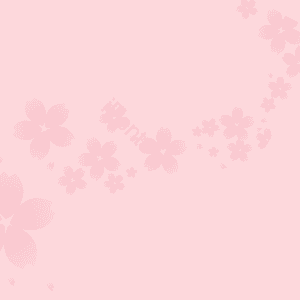 背景 韩国传统节日的背景 粉 花 芙蓉花 新鲜 可爱 传统的背景