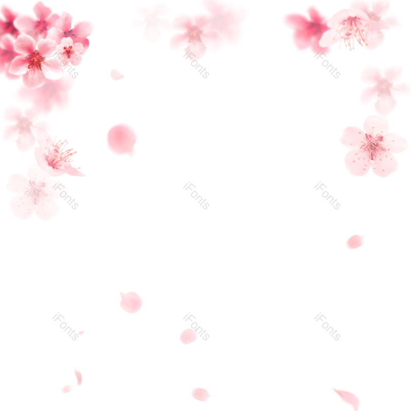 婚礼边框图片,花环元素,浪漫PNG,春季免抠素材