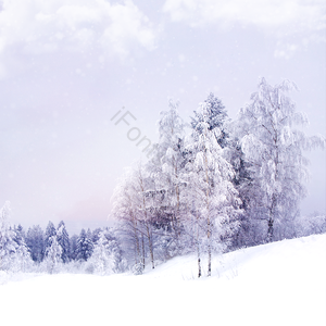 SNS背景 在冬季 冬天背景 雪 眼睛 尾矿 背景 乳糜性腹水
