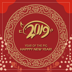 两千一九 中国 中国红 欢腾 年 新年快乐 猪 节日