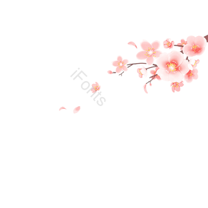 萌萌 浪漫 樱花开 美女 粉色 框架元素 芙蓉花 新框架