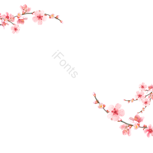 花呗 浪漫 绿色 芙蓉花 春季 樱花山水 如果 植物