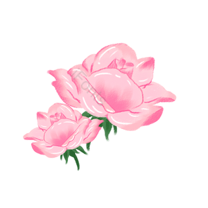 玫瑰花 手绘 粉嫩 唯美 晶莹