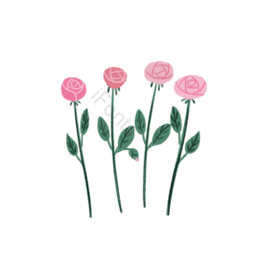 红色 玫瑰花 手绘风 情人节 海报 插画 甜美 春天