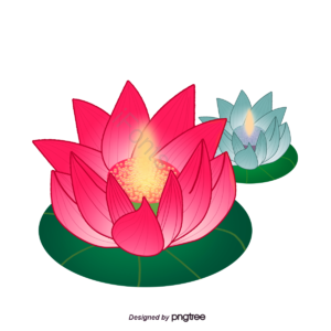 花灯  花  荷叶  手绘 