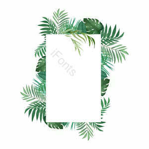 掌心 植物学 植物边界 热带 热带植物树木 绿色 植物 棕榈叶