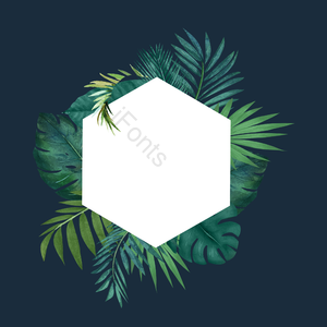 独创性 叶 棕榈叶边框 植物学 植物边界 热带植物树木 绿色 背景
