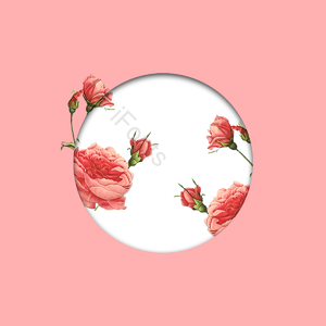 粉色 玫瑰花 圆框 鲜花 立体 唯美 浪漫 折纸