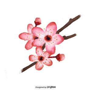 三朵花 桃花 水彩 水彩花 画 粉色 粉红桃花 花