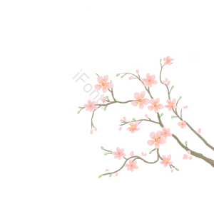 树枝 桃花 树枝 花 春 春天 春暖花开 美好