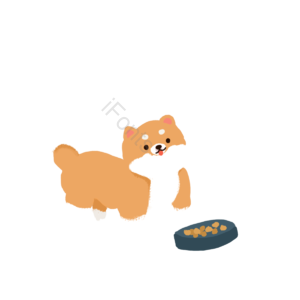 元素 柯基狗 狗粮  单身