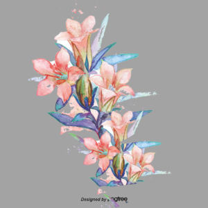 花 鲜花 花朵 花卉 植物 春天 清新 立春