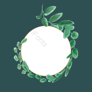 叶 桉树 植物学 植物边界 简单 绿色 文框 叶剪贴画
