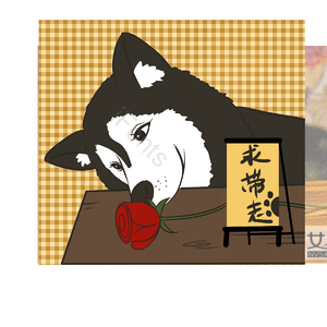 情人节 单身狗 求带走 红色玫瑰花 插画