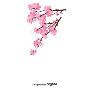 粉色 花朵 简洁 树枝 插画 元素