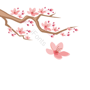 樱花 樱花树 树枝 粉色 樱花节 桃花 春 春天